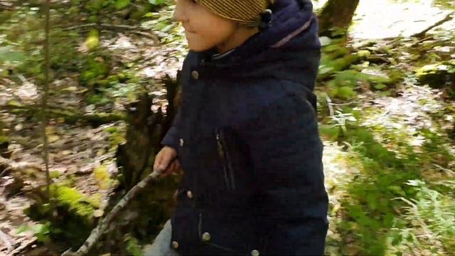 Поездка в лес с моими родителями. Собираем грибы. Грузди смотреть онлайн