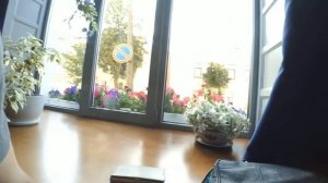 Ресторан Гоголь - Моголь  Псков