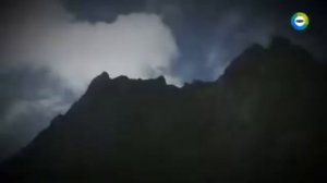 Скрываемые находки в Антарктиде   Удивительные находки во льдах Антарктиды