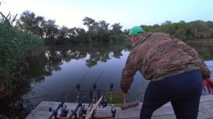 Как ловить карпа на флэт фидер