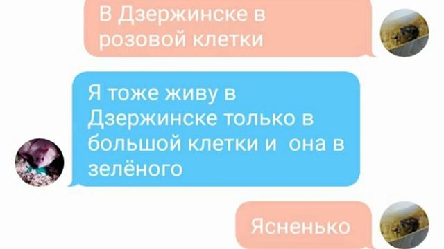Переписка хомяка Бони и крысы Жорика, посмотрите будет интересно даже родителям!!! смотреть онлайн