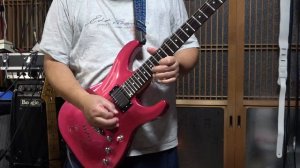 Greco WS 40 Wild Scamper PPK 2012 & Kz TrebleBooster+TUBESCREAMER TS808+Orenge DarkTerror 004