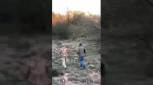 Охота в Африке, стрелок обосрался )))