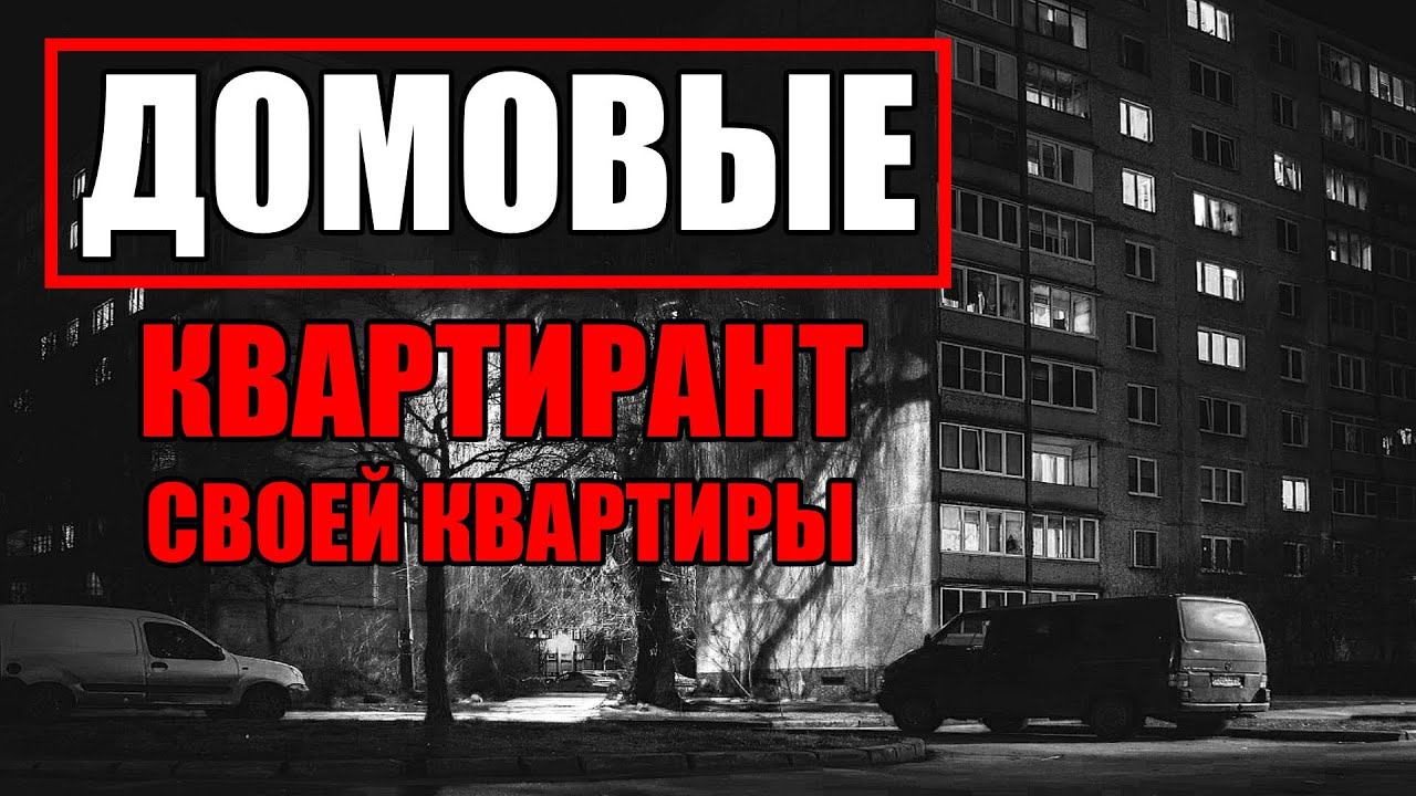 Страшные истории. ДОМОВЫЕ. Квартирант своей квартиры. Часть 10.