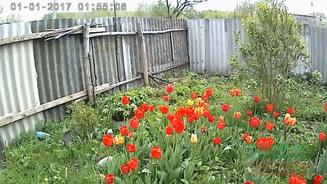 Приехали В ДЕРЕВНЮ к Маме ///обзор///Отчий Мой дом моя деревня! смотреть онлайн