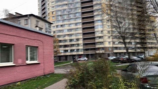 Обзор района Шушары | Плюсы и минусы | Город для людей?