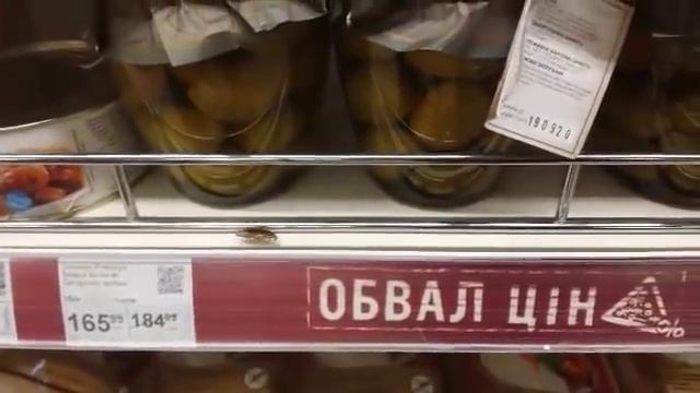 Таракан в Сильпо на Новокузнецкой в Запорожье ч.1 смотреть онлайн