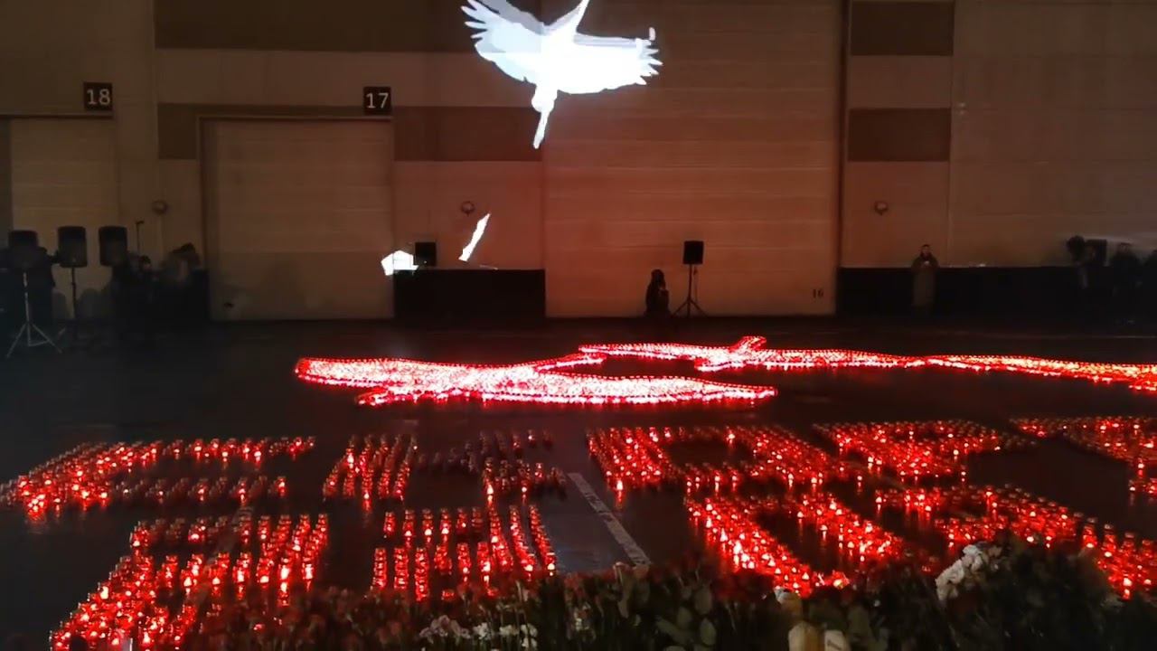 Крокус. Вечная память...