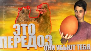 ПЕРЕДОЗ яиц - они УБЬЮТ !!! 24 часа ем только яйца -ЧЕЛЛЕНДЖ