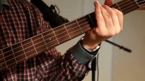 Пушной.  Переведи меня через Майдан. (cover)Пушной Александр.