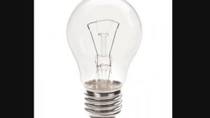 Уход и содержание Красноухой Черепахи