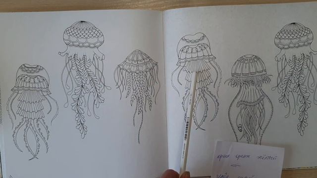 Игра "Выбери меня" за сентябрь 2022 г. смотреть онлайн