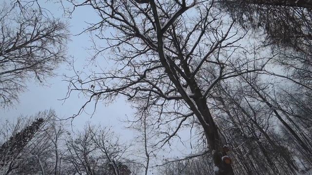 Сиверский. Красная улица, "Дачная столица", "Жаркие страны", ну ещё и к Лешему:-) смотреть онлайн