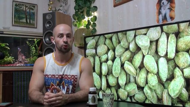 Обзор и рекомендации  ростков пшеницы Живи200