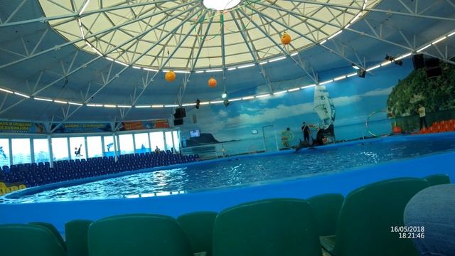 Дельфинарий в минске 2я часть смотреть онлайн