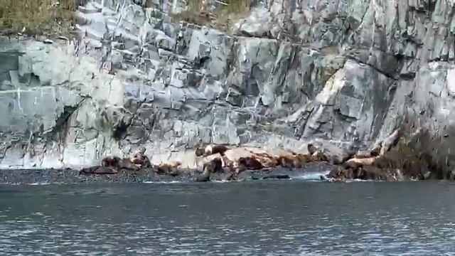 Авачинская бухта - Бухта Русская Рыбалка смотреть онлайн