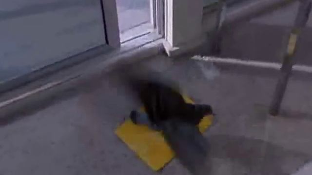 Forget Paris - Pidgeon Scene смотреть онлайн