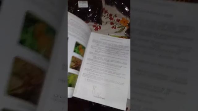 Гаршинка ....отзыв...