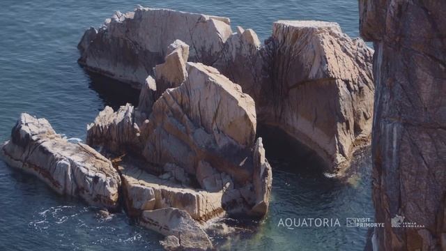 КАК ЗВУЧИТ ЗЕМЛЯ ЛЕОПАРДА. ГЛАВА ПЯТАЯ. "ОСТРОВ ФУРУГЕЛЬМА" смотреть онлайн