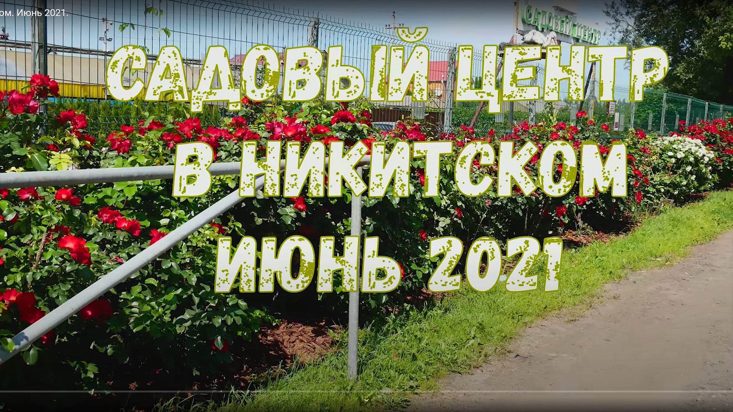 Садовый центр в Никитском Июнь 2021