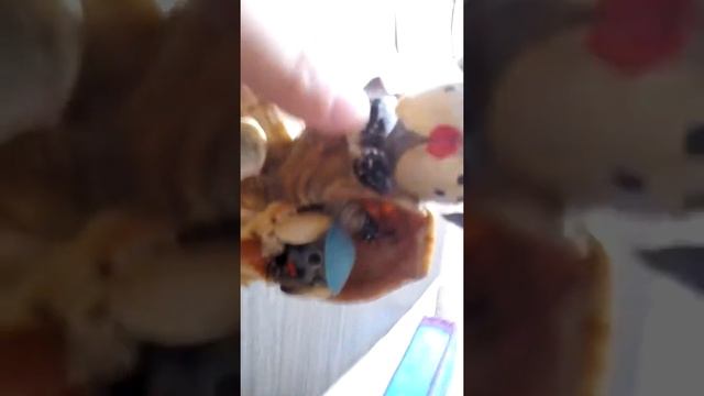 Собачки из ракушек смотреть онлайн