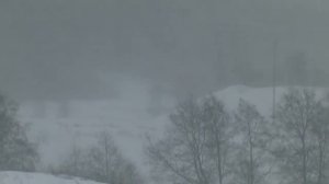 Снегоходы по Кировской обл