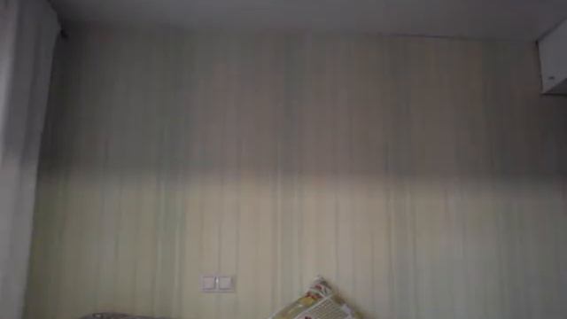 Короче  говоря   мне  подарили  кошку   !!!!!!!!!!!!!!