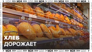Россиян предупредили о возможном подорожании хлеба на 10%: "Актуальный репортаж" - Москва 24