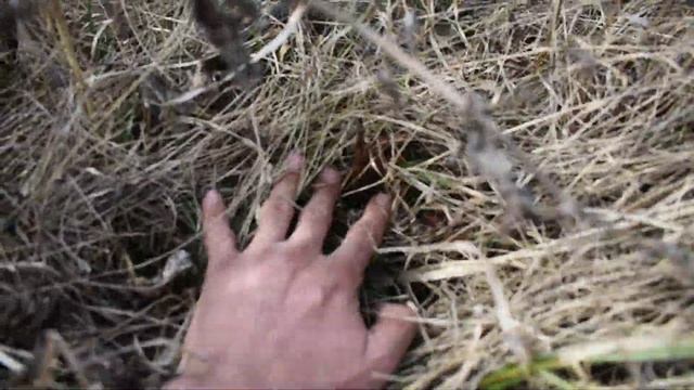 Освоение Целины на Болоте Рай своими руками :-) смотреть онлайн