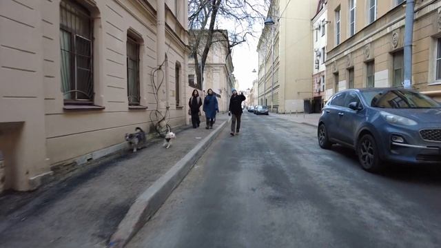 ЗАДВОРКИ ПЕТЕРБУРГА. Академический переулок, 23. Январь 2023 года.
