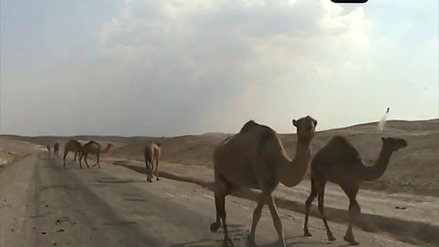 GUIDE21 - Judean desert. Cyprus. Hyrcania. Mt. Azazel. Крепости Иудейской пустыни смотреть онлайн