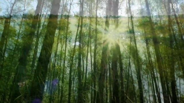 Великие божественные песнопения, помогающие обретать духовность