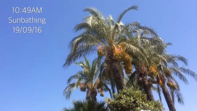 TURKEY 2016 - HOLIDAY VILLAGE TURKEY - SARIGERME