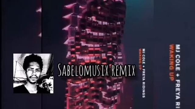Mj Cole & Freya Ridings - Waking Up (Sabelomusix Remix)