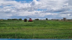 Уборка травы на сенаж Квк.Маз