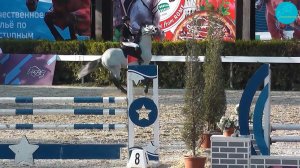 "Конный спорт - это легко, лошадь сама бежит, прыгает с удовольствием, а всадник просто сидит"