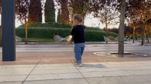 Запалилась. Парк Галицкого. Краснодар