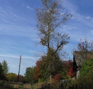 Не ставьте памятник деревне