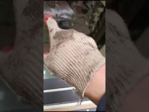 5 июня 2024 г.