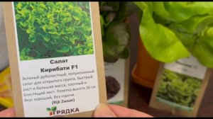 Семена салатов, которые рекомендую выращивать не только на участке, но и на подоконнике.