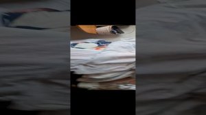 моё утро