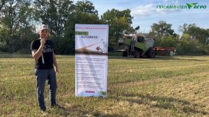 Демонстрация CLAAS TRION 530 в КФХ КАДЫРОВ Ф.Ф. | Проминтел-Агро