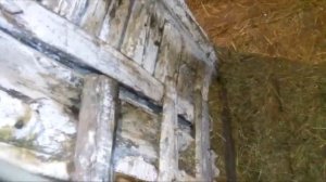 Водоснабжение сарая. Поение бычков в сарае зимой.