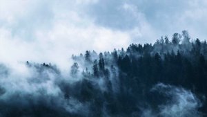 1 Hour of Ambient Fantasy Music - Tranquil atmospheric ambience - Enchanted Forest