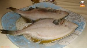 Запечённая Желтопёрая Камбала - Любимое Блюдо Морских Пограничников #пограничники #морские #камбала