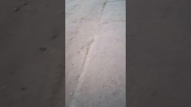 *Я иду в магазин• ВЛОГ# но иду не одна а с подругой ДИАНОЙ смотреть онлайн