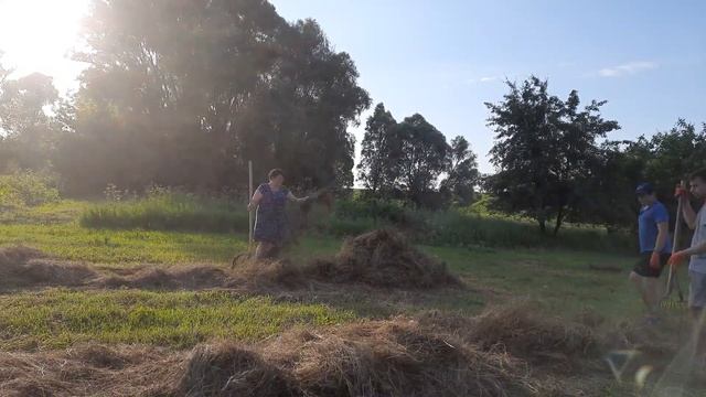 Заготовка сена на зиму!