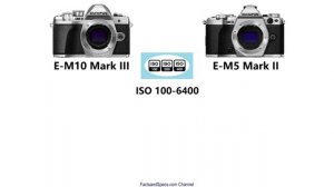 Olympus E-M10 Mark III vs Olympus E-M5 Mark II