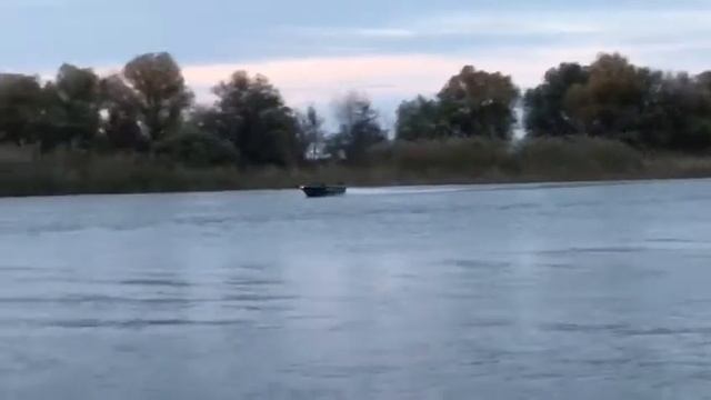 Yamaha 60 FETL и касатка 450 смотреть онлайн