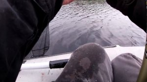 Ловля леща с лодки на поплавочную удочку!!! Рыбалка в июне.